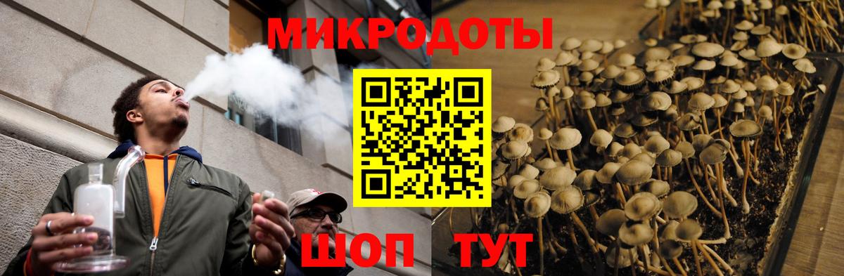 Псилоцибиновые грибы мицелий  Галлюциногенные грибы Psilocybe  Нововоронеж  Вход с VPN 